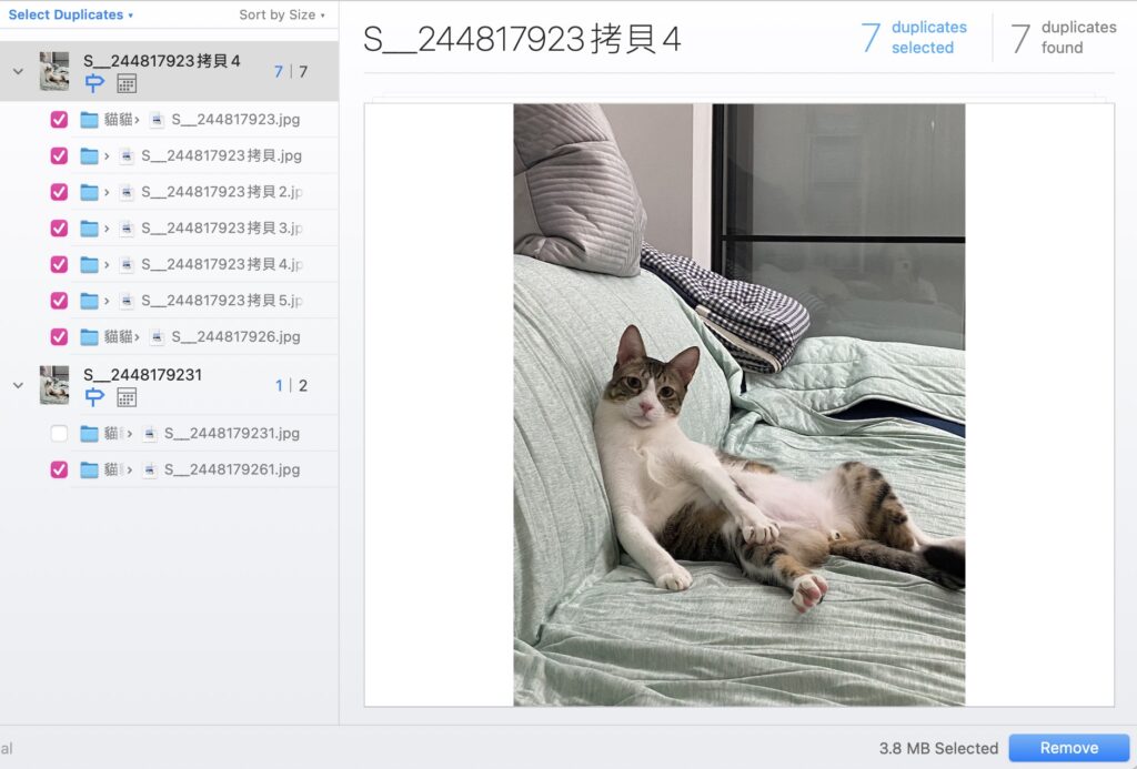 Gemini2 for Mac截图0