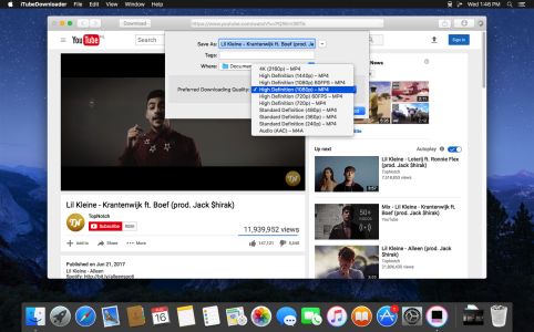 iTubeDownloader For Mac电脑版截图2