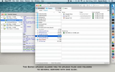 Viper FTP for Mac截图1