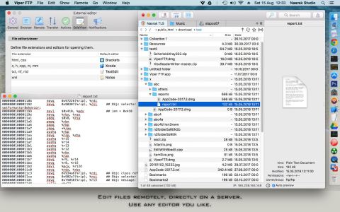 Viper FTP for Mac截图0