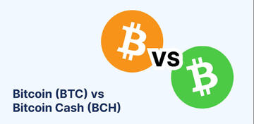 BCH��BTC������BTC��BCH��ȷ����Ա�