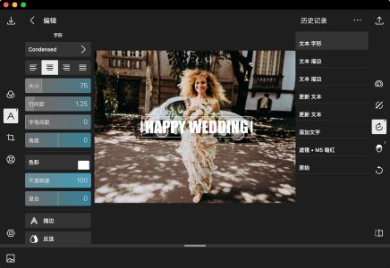 Polarr Photo Editor(泼辣修图)电脑版 h_300 (39).jpg