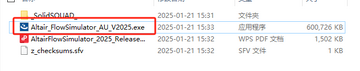 Altair Flow Simulator 2025正式版 Altair Flow Simulator 2025正式版