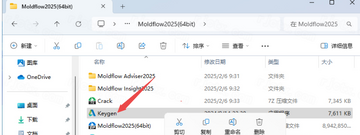 Autodesk Moldflow Insight2025�ƽ��