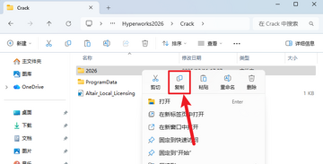 Altair Hyperworks 2026����������