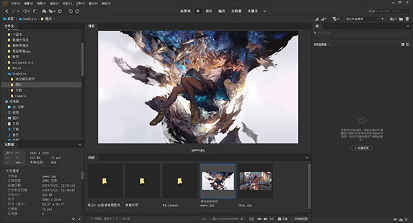 Adobe Bridge CC2020中文破解版截图3