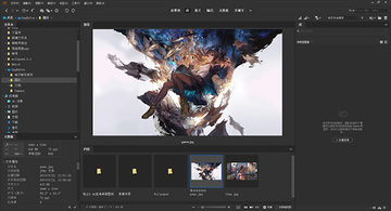 Adobe Bridge CC2020�����ƽ��