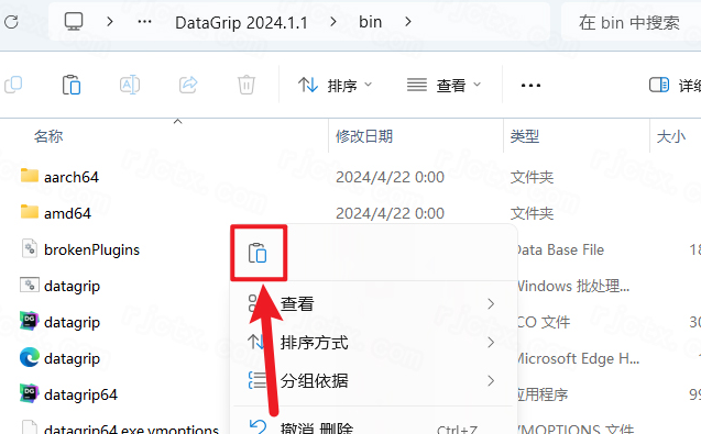 JetBrains DataGrip 2024中文版激活版 JetBrains DataGrip 2024中文版激活版