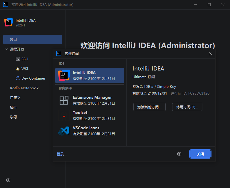 IntelliJ IDEA Ultimate 2026中文免激活版截图0