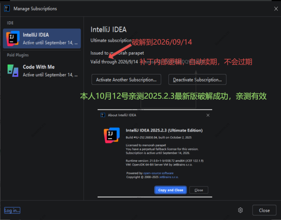 IntelliJ IDEA 2025中文激活版截图3