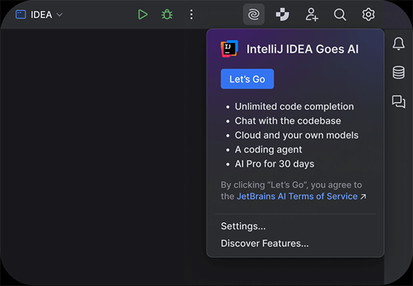 IntelliJ IDEA 2025中文激活版截图0