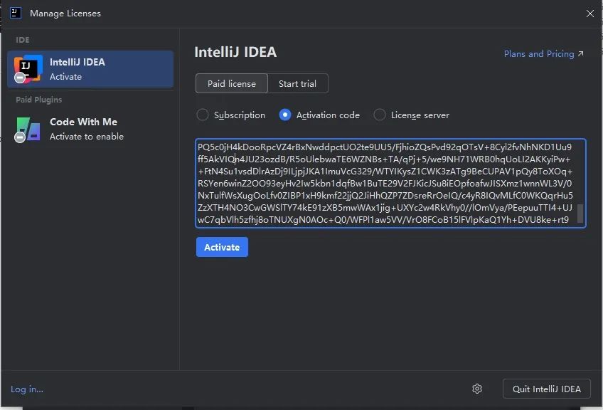 IntelliJ IDEA 2025中文激活版截图2