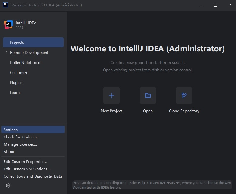 IntelliJ IDEA 2025中文激活版截图1
