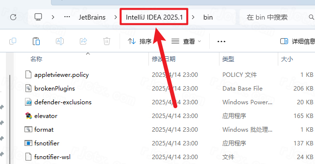 IntelliJ IDEA 2025中文激活版 IntelliJ IDEA 2025中文激活版