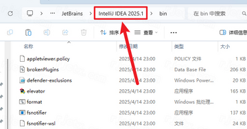 IntelliJ IDEA 2025���ļ����