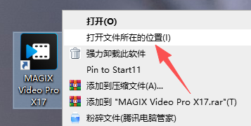 MAGIX Video Pro X17�����
