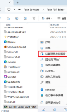 ��꿸߼�PDF�༭��2024��������°汾