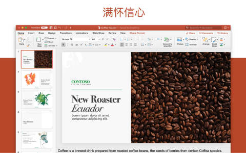 Microsoft PowerPoint for Mac电脑版截图4