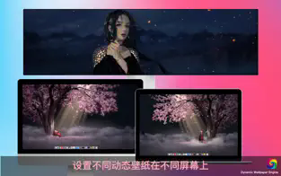dynamic wallpaper for mac(桌面动态壁纸工具)截图0