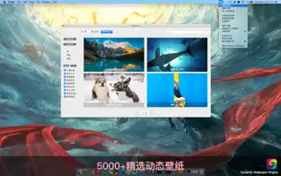 dynamic wallpaper for mac(桌面动态壁纸工具)截图3