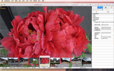ApolloOne for Mac电脑版(图片视频查看维多利亚老品牌VIC3308)截图4