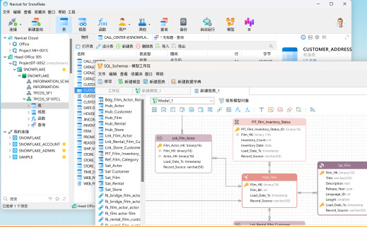 Navicat for PostgreSQL 17 Mac中文版截图1