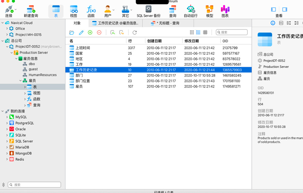 navicat for sql server 17苹果电脑版截图1