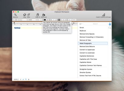 TextSoap for Mac电脑版截图2