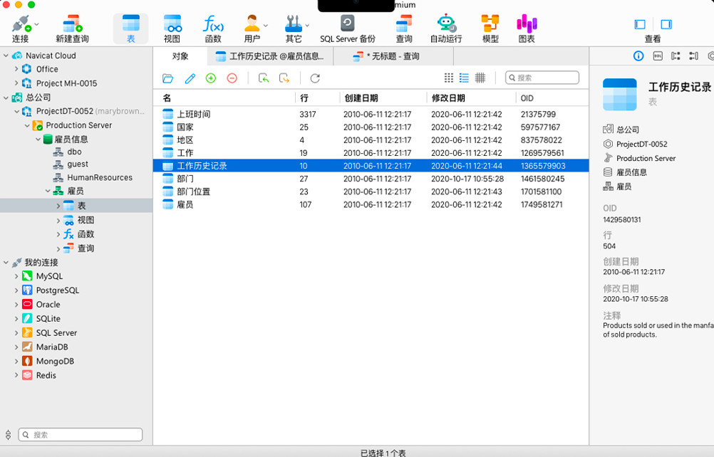 Navicat for Oracle 17苹果电脑版截图2