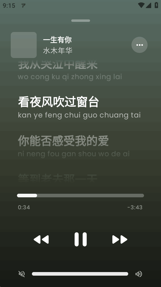 ArchiveTune音乐官方版截图2