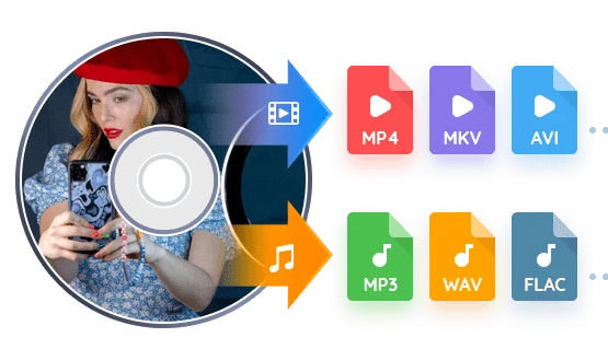 dvdfab 13 mac中文版截图1