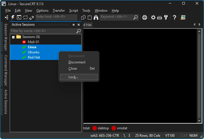 securefx for Mac苹果电脑版截图1