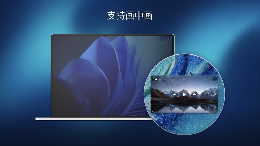Fig Player for macOS截图3