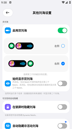 DynamicNotch下载高级免费版v6.2最新版截图1