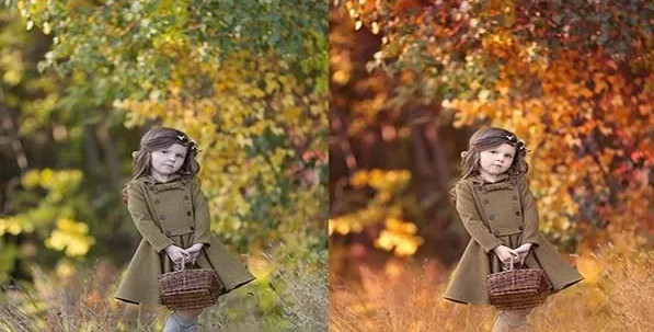 Magic Retouch Pro for Mac汉化版截图2