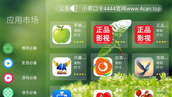 熊猫市场tv电视版1.0最新版截图1