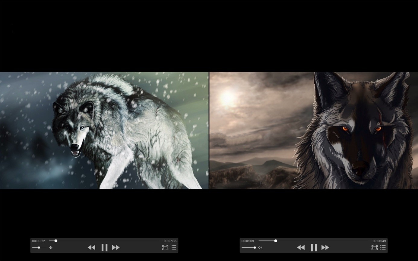 zFuse Pro for Mac官方电脑版截图3