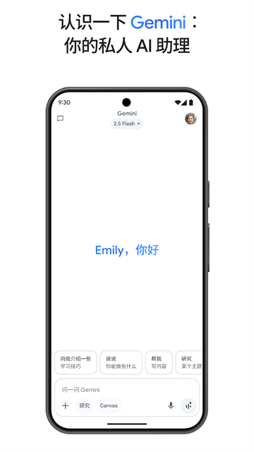 gemini�˹�����ģ�͹ٷ���1.0.913571982��ͼ0