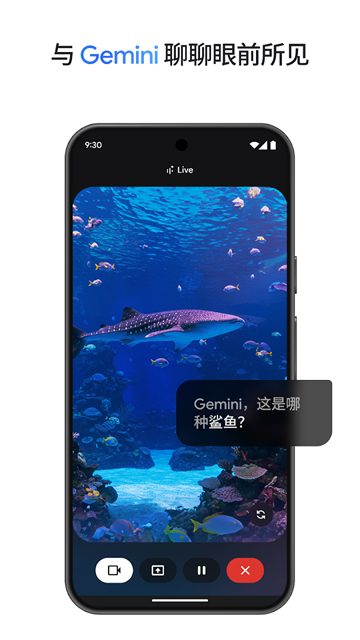 gemini�˹�����ģ�͹ٷ���1.0.913571982��ͼ4
