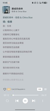 聆风音乐app手机安卓版 聆风音乐app手机安卓版