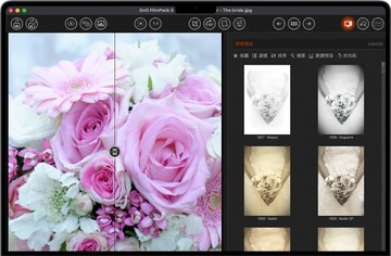 DxO FilmPack Mac苹果电脑版 DxO FilmPack Mac苹果电脑版