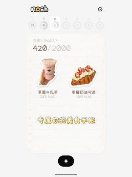 nosh(热量计算app)官方安装包 nosh(热量计算app)官方安装包
