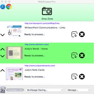 WebSnapperPro mac版(网页快速捕捉工具) WebSnapperPro mac版(网页快速捕捉工具)