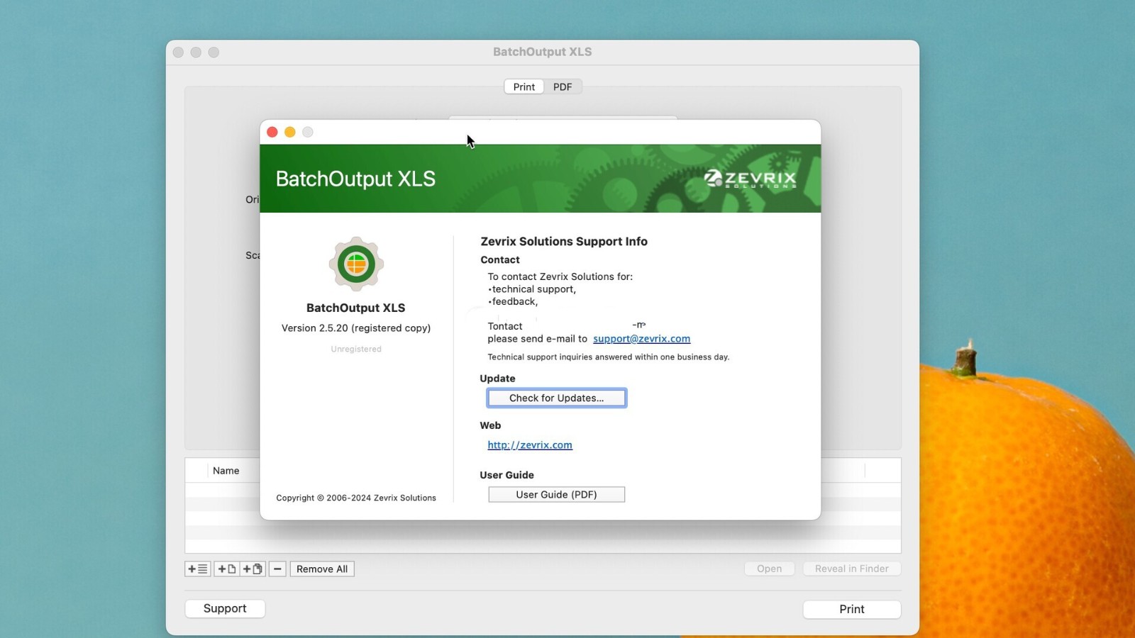 BatchOutput XLS for Mac���԰�