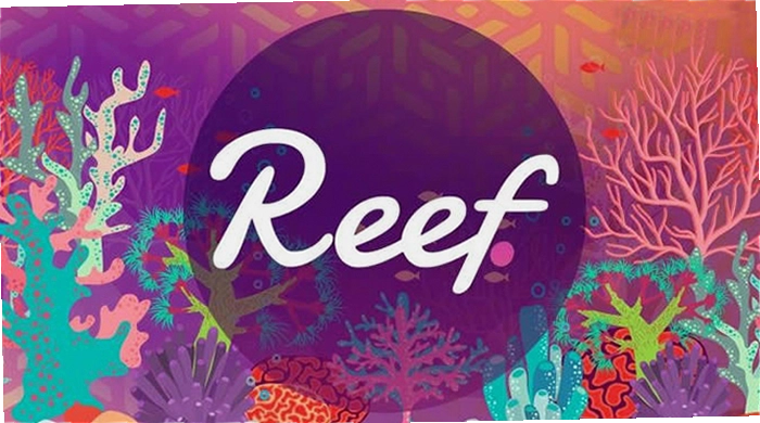 Reef��ʲô����,�ؼ��ʱ������Reef��ʲô���֣�����Ŀ�������ܶ�Ӧ����̬ʾ��ͼ