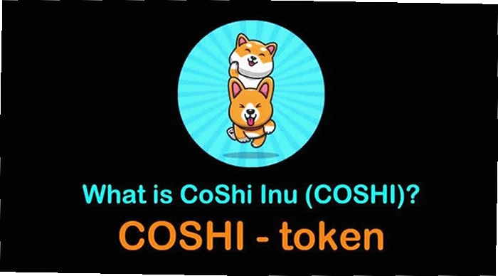 COSHI是什么币种介绍,关键词必须包含COSHI是什么币种,与项目定位说明对应的图片