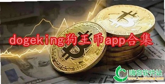 DOGEKING安全交易避坑,关键词必须包含DOGEKING,与风险提示内容相对应