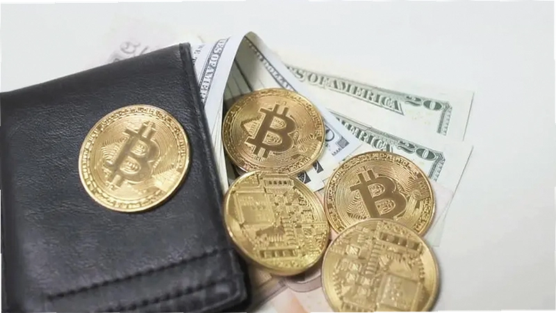 最安全的区块链钱包 欧易钱包 硬件钱包 对比 色彩丰富 无水印 宣传图