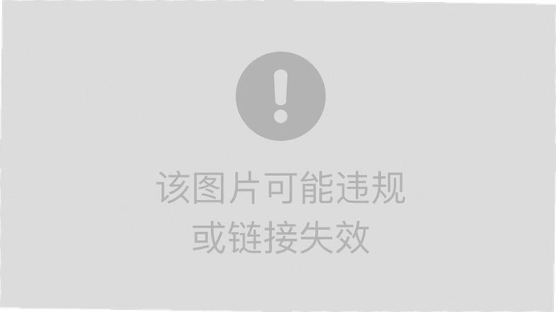 METADOGE币 风险提示图,加密货币投资风险配图