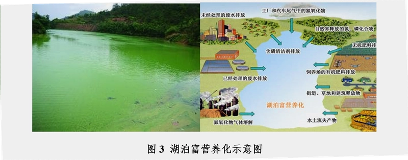 INJ是什么币种生态示意图,色采丰富 无水印 宣传图
